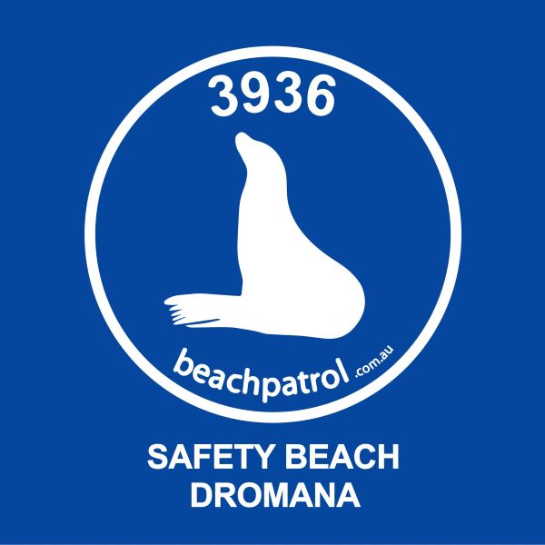 sb beach patrol clean up