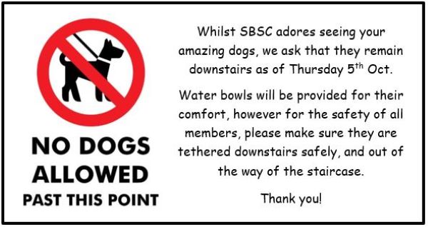 dogs