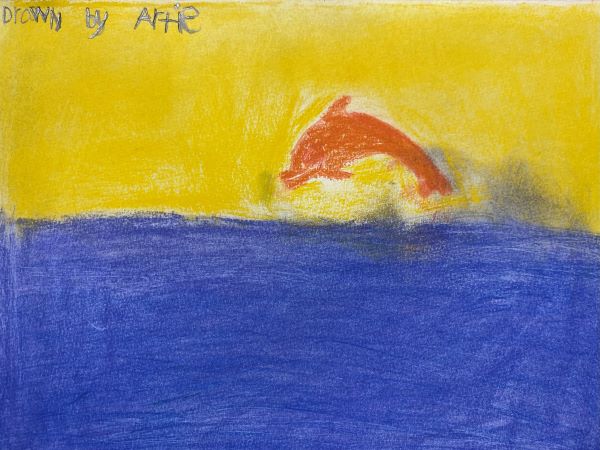 artie dolphin